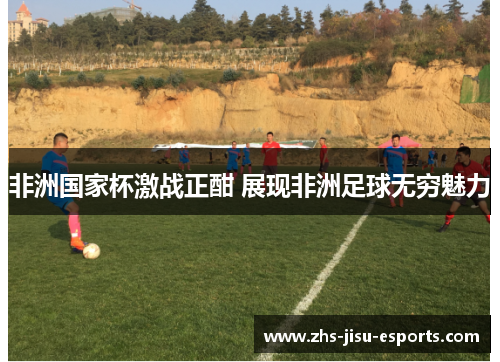 非洲国家杯激战正酣 展现非洲足球无穷魅力